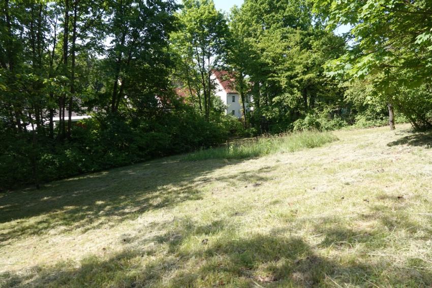 Ansicht der Projektfläche im Mai 2023 vor der Maßnahmenumsetzung. Die vor kurzem gemähte Wiese war relativ artenarm. Eine Teilfläche, die bereits vor Projektstart mit einer Saatgutmischung angesät wurde, blieb ungemäht.