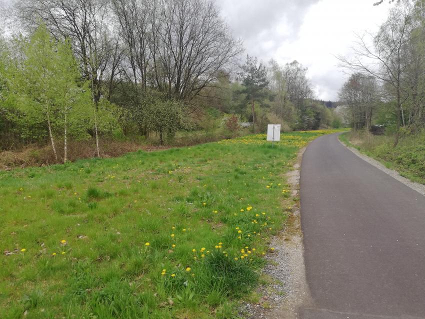 Ansicht der Projektfläche im April 2024 vor der Maßnahmenumsetzung. Es ist deutlich zu erkennen, dass die kommunale Grünfläche entlang des Rhönexpress Bahnradwegs im Bahnhofsumfeld Rupboden grasdominiert ist. Das Blütenangebot von Löwenzahn ist hier sehr eintönig.