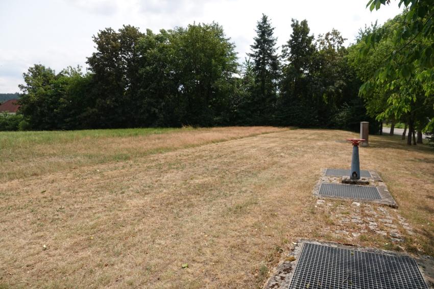 Ansicht der Teilfläche 2 im Juli 2023 vor der Maßnahmenumsetzung. Die kürzlich gemähte Fläche hat eine Tendenz zum Magerrasen, auf dem auch Arten wie der Hasen-Klee vorkommen.