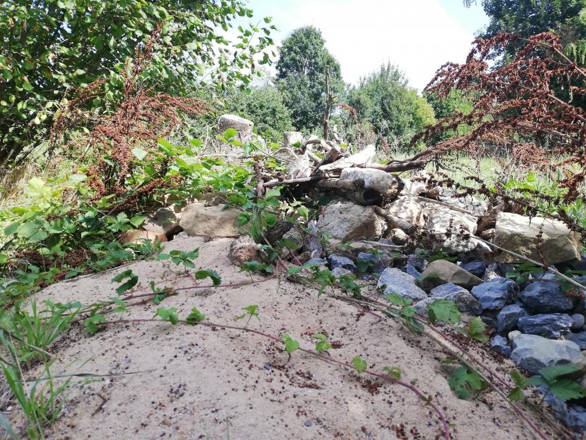 Ein angelegter Steinhaufen mit Sand- und Totholzbereichen sorgt zusätzlich für Rückzugsmöglichkeiten sowie für Nist- und Nahrungsplätze für Reptilien, Insekten und Co.