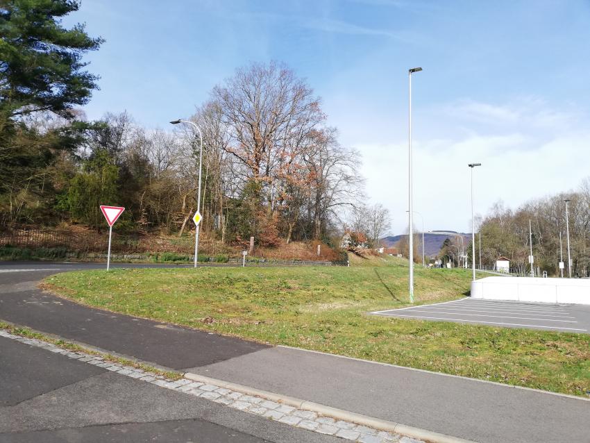 Ansicht der Teilfläche 3 im Juni 2023 vor der Maßnahmenumsetzung. Die Grünfläche weist wenige typische blühende Wiesenarten auf.