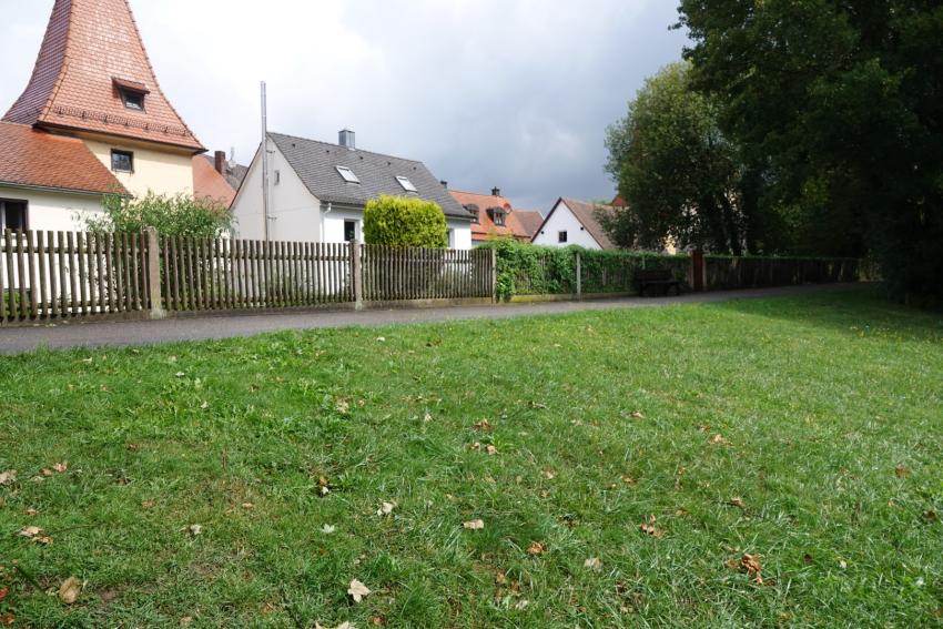 Ansicht der Projektfläche im Juli 2023 vor der Maßnahmenumsetzung. Der Wegrand war grasdominiert und sollte ab sofort weniger oft gemäht werden.