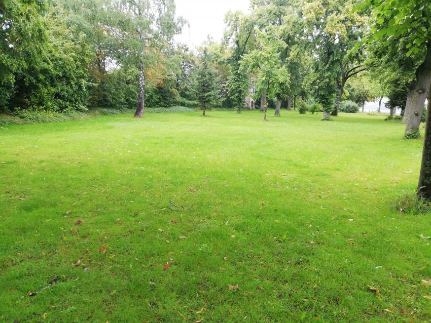 Ansicht der Teilfläche 2 im August 2023 vor der Maßnahmenumsetzung. Durch die regelmäßige Pflege in kurzen Abständen entstand ein grasdominierter Vielschnittrasen.