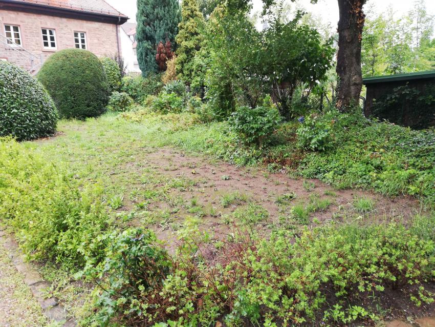 Ansicht der Teilfläche 3 im August 2023 vor der Maßnahmenumsetzung. Das Beet im Rosengarten sieht wenig blütenreich und somit wenig attraktiv aus.