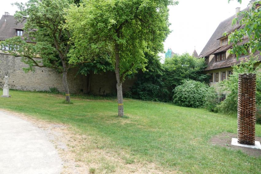 Ansicht der Projektfläche im Juni 2023 vor der Maßnahmenumsetzung. Zu sehen ist die viel gemähte Grünfläche, die mit Arten angereichert und durch extensive Mahd ökologisch aufgewertet werden sollte.