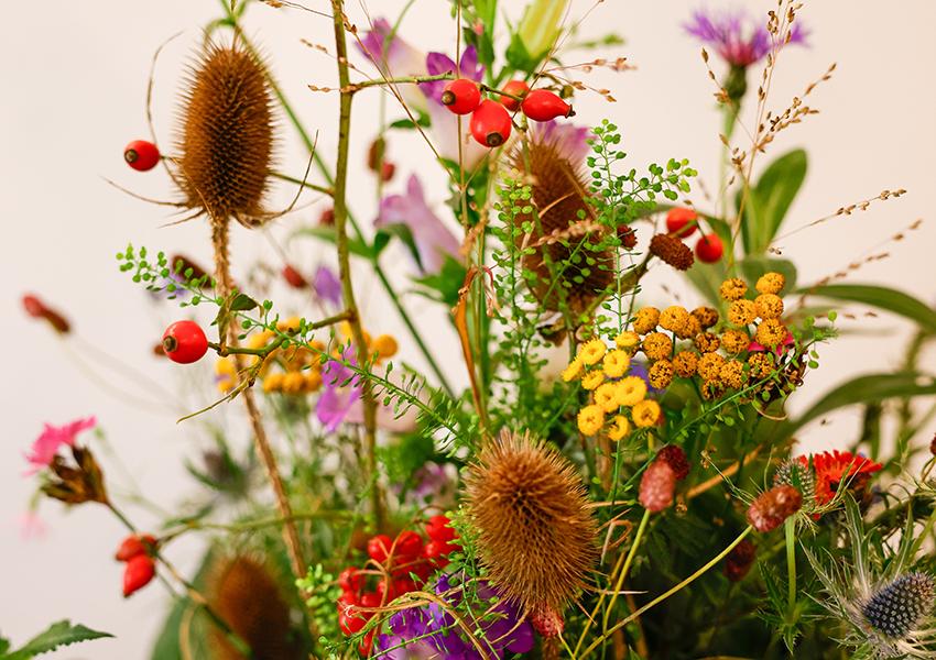 Blumenschmuck aus heimischen Wildpflanzen