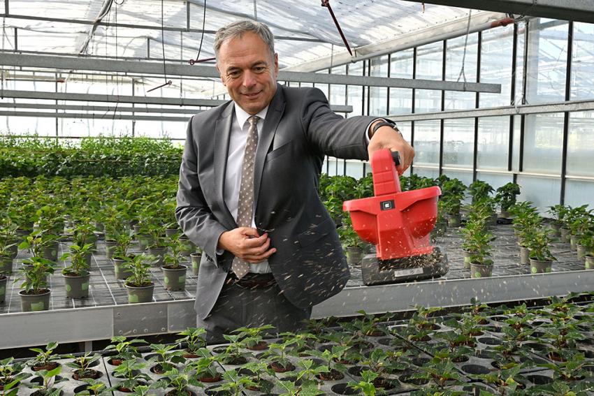 Ministerialdirektor Dr. Rüdiger Detsch (StMUV) beim Ausbringen von Nützlingen, Foto: StMUV