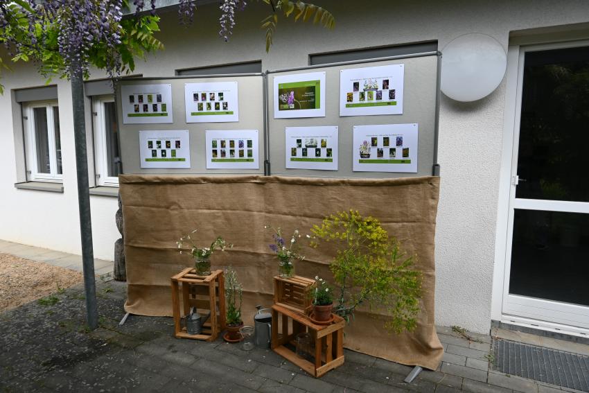 2. Praxistag Blühender Betrieb am 07.05.2025 am AELF Kitzingen-Würzburg, Foto: Anna-Maria Wittmann