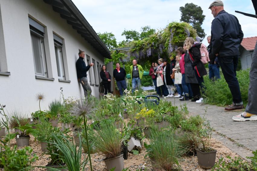 2. Praxistag Blühender Betrieb am 07.05.2025 am AELF Kitzingen-Würzburg, Foto: Anna-Maria Wittmann