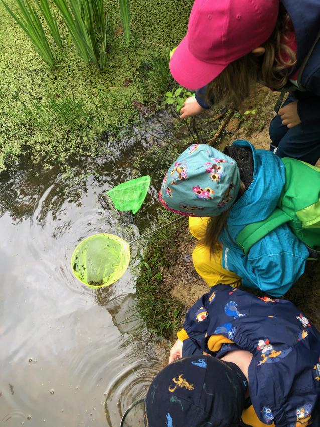 Keschern (Urheberin: Vanessa Lochbrunner)