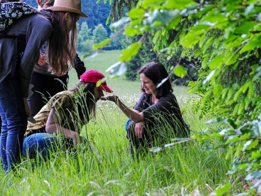 Schülerinnen im Wildniscamp (Urheber: Johannes Haslinger)