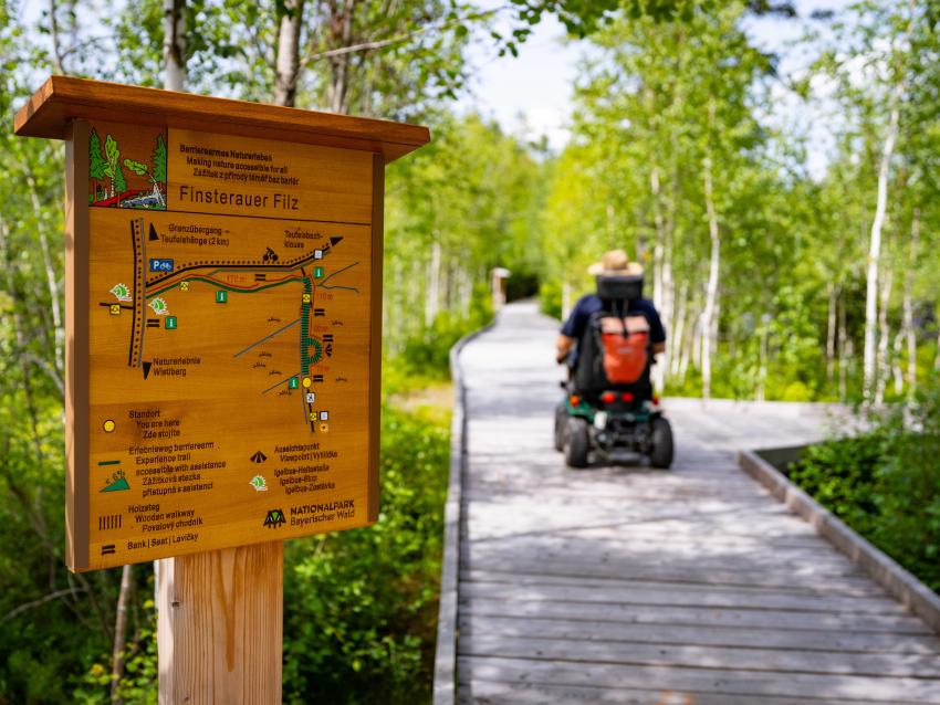 Barrierearmer Weg durch das Finsterauer Filz
(Urheber: Woidlife Photography)