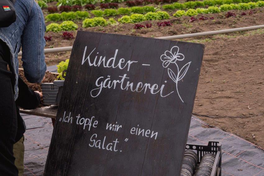 Tag der offenen Gärtnereien 2024 in Bamberg