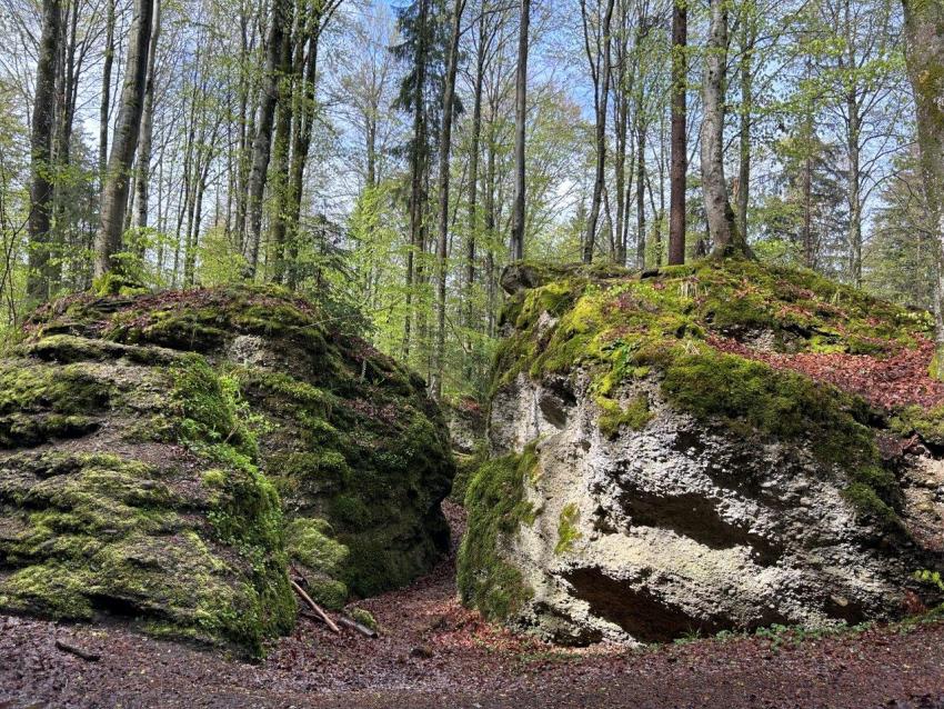 Felsformationen und enge Spalten im Geotop Teufelsküche.