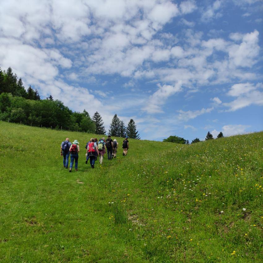 Pharma-botanische Wanderung mit dem Apotheker
