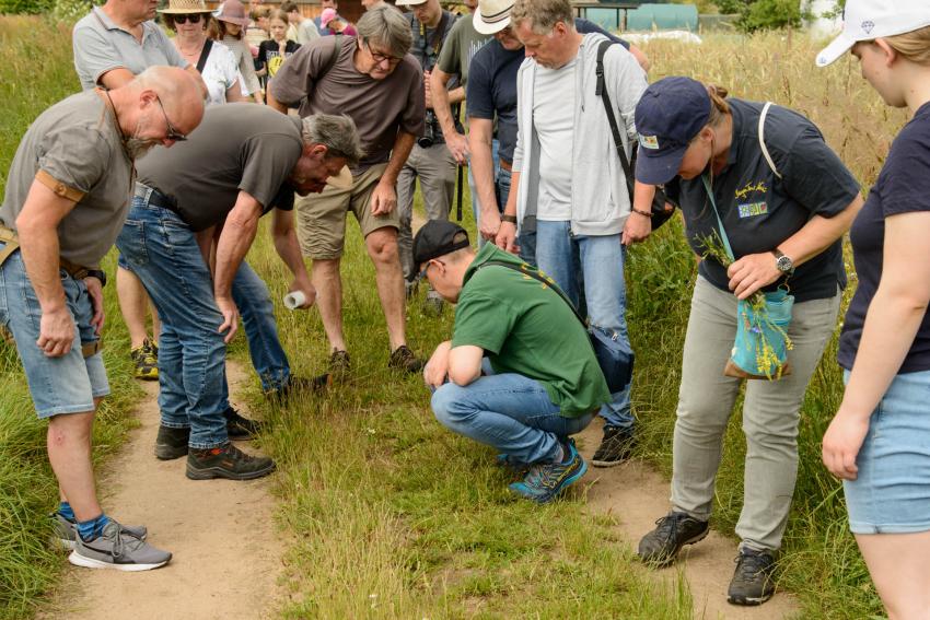 Auf solchen Sandwegen lassen sich die Nester der Mohnbiene finden.