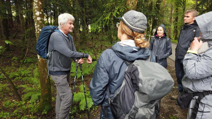 Bergwald am Erlerberg. Foto: Joachim Haase