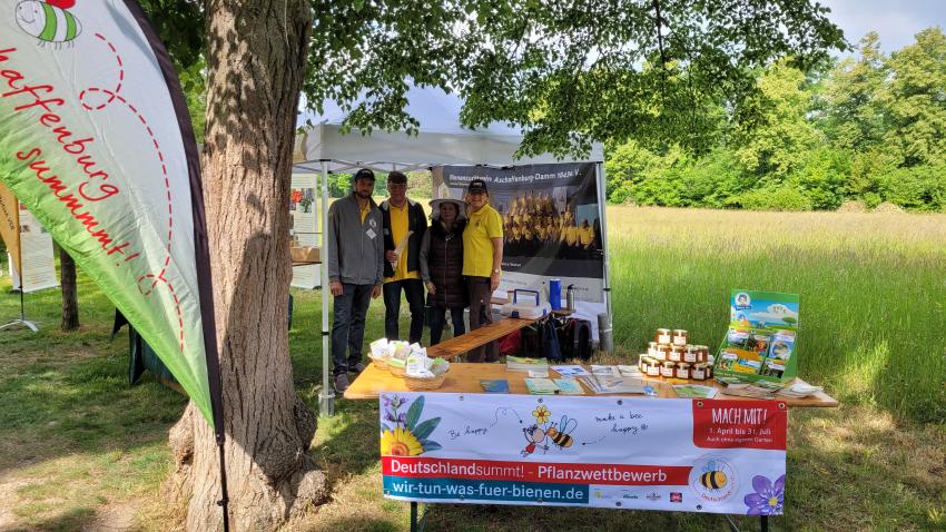 Summende Vielfalt entdecken: Naturerlebnis mit Bienen und Co.