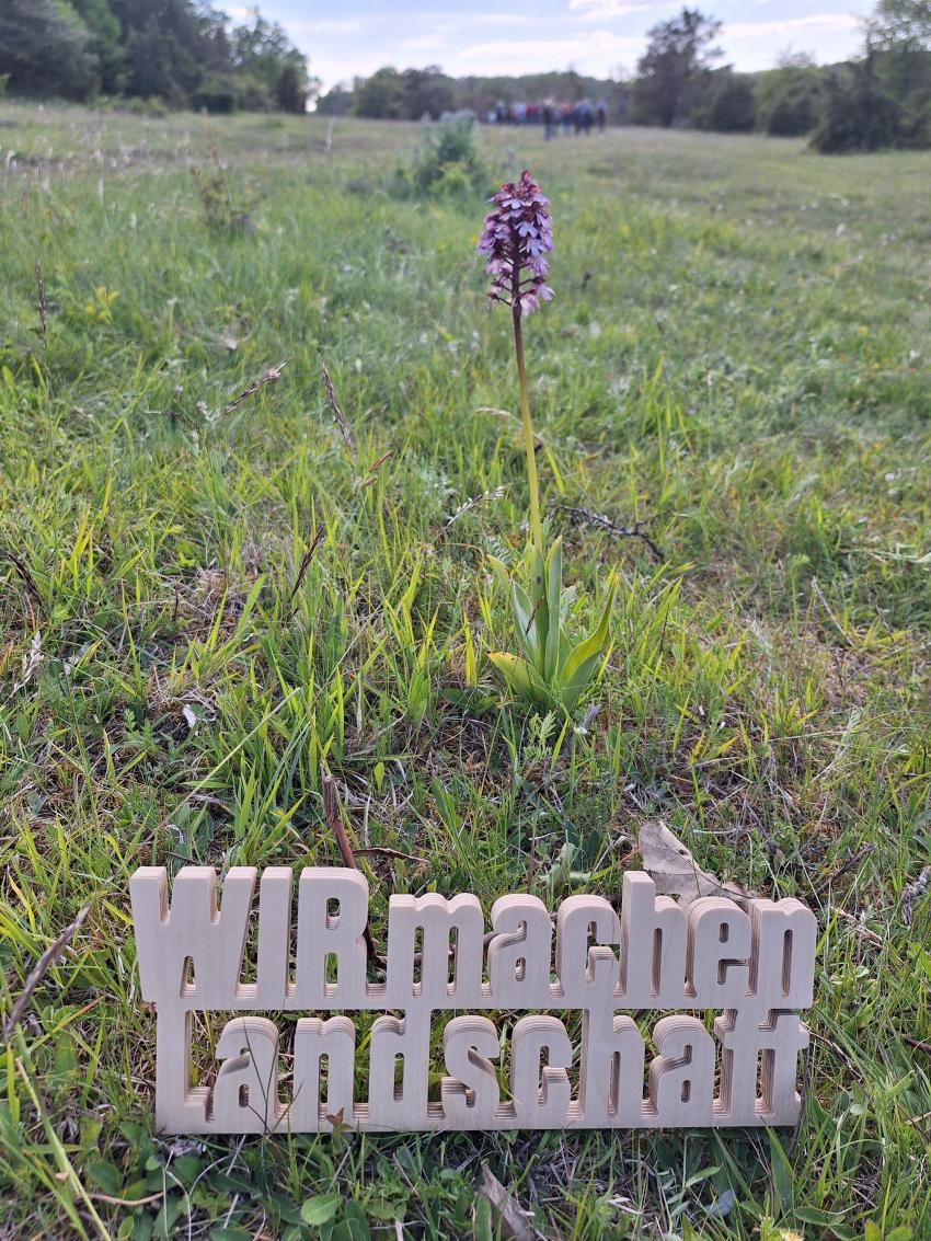 Foto: Landschaftspflegeverband Neustadt a.d. Aisch - Bad Windsheim e.V.