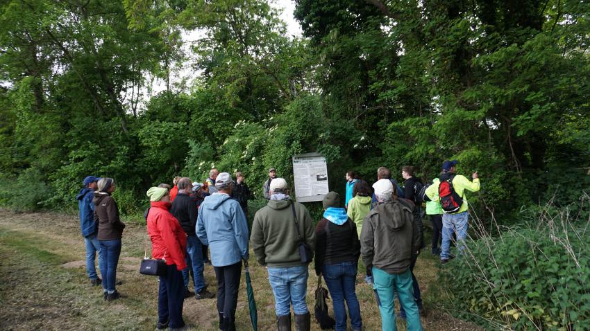 Von versteckten Quellen und alten Baumriesen – Natura 2000 erleben