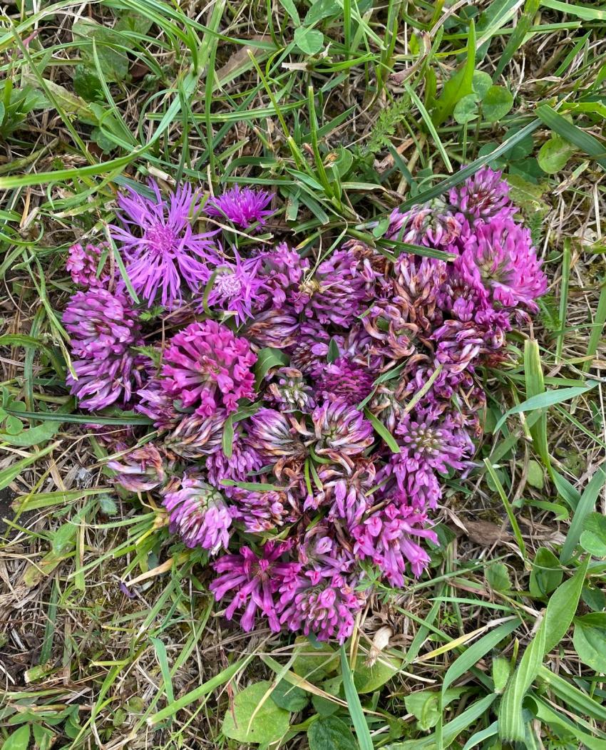 Bild von Brigitta Schrapp