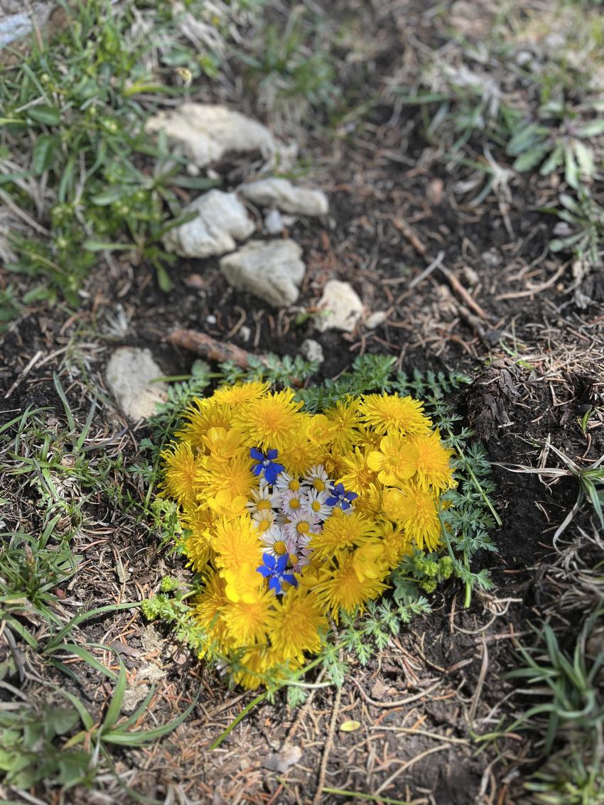 Bild von Beate Köferl