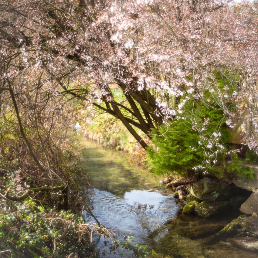 Bild von Michael Krebs