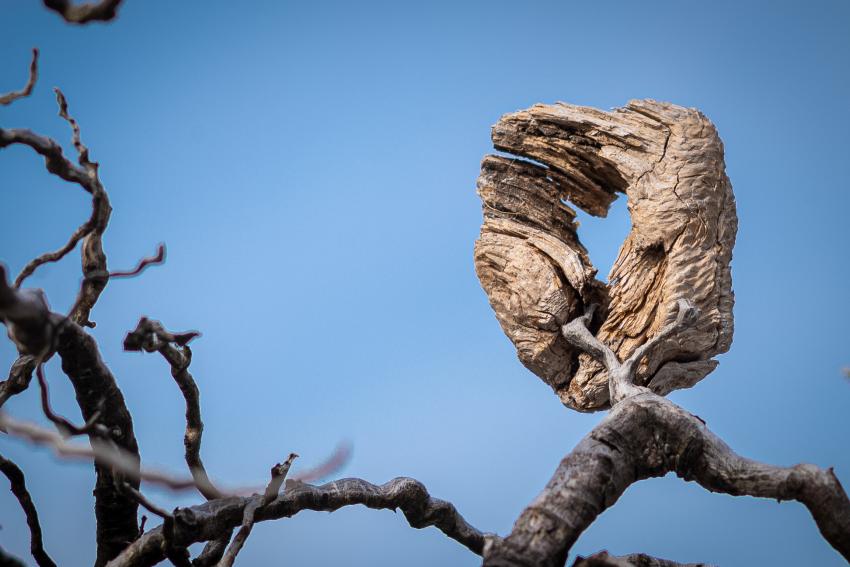 Bild von Michael Krebs