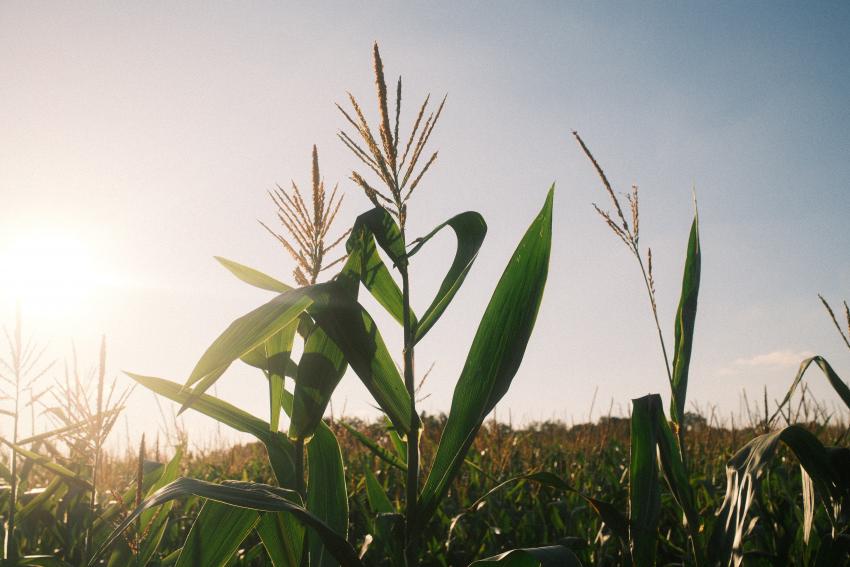 Bild von Christoph Wagner