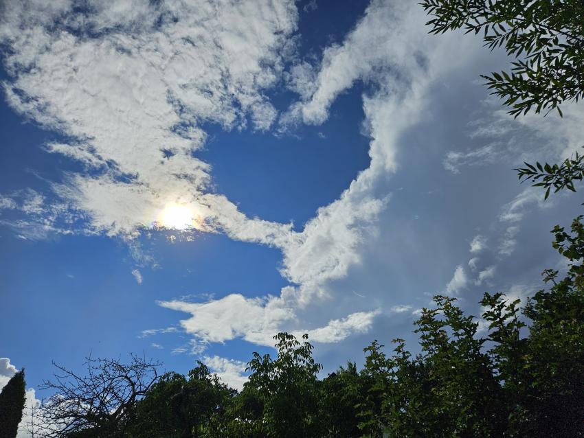 Bild von Carmen Kleinert