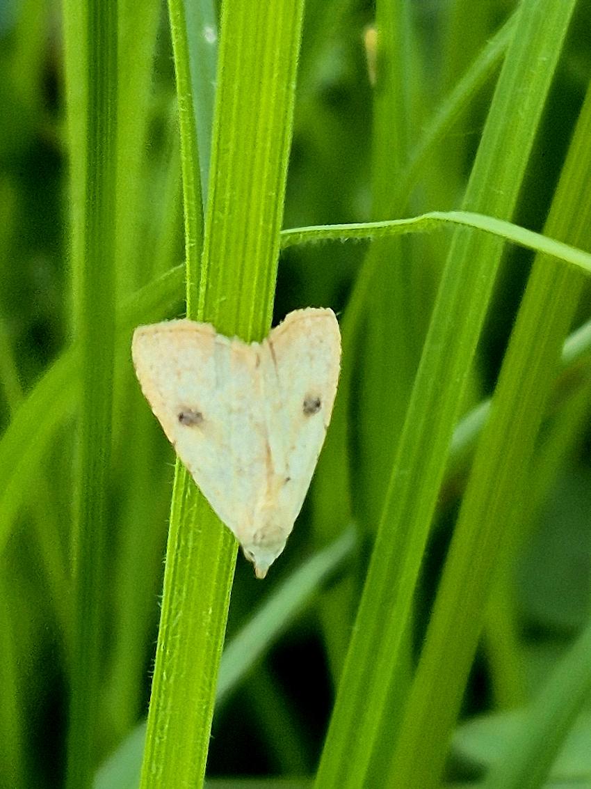 Bild von Hildegard Wegmann