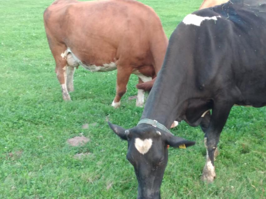 Bild von Sabine Lang