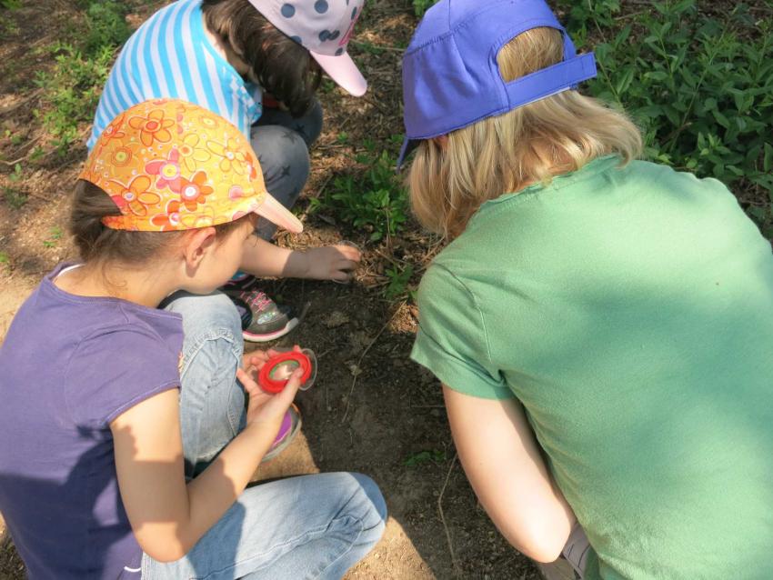 Artenkenner, Autorin: Cornelia Schlosser