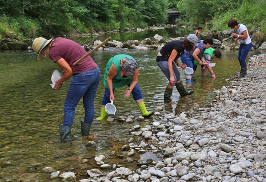 Teilnehmer Gewässer unter der Lupe (Urheber: Chiemsee Naturführer)