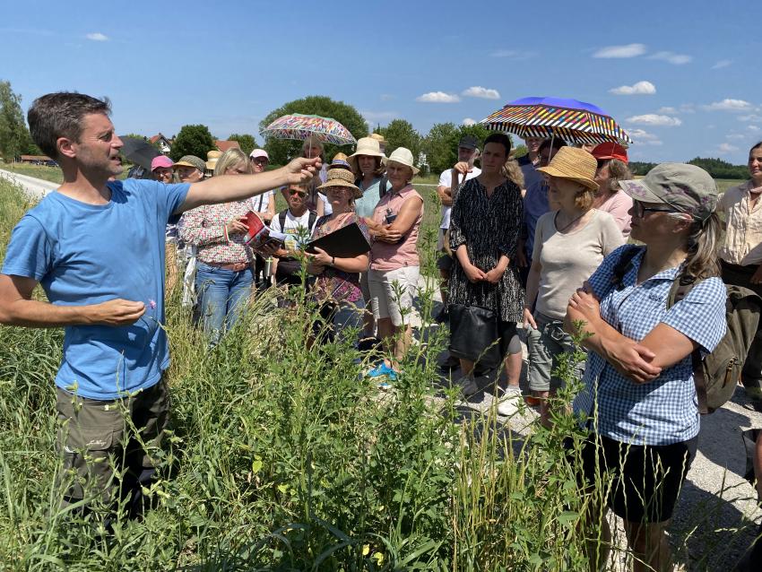Exkursion im blühenden Acker, Die Umwelt Akademie e. V. 