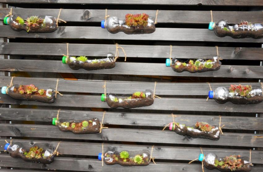 Begrünungs- und Upcyclingaktion 