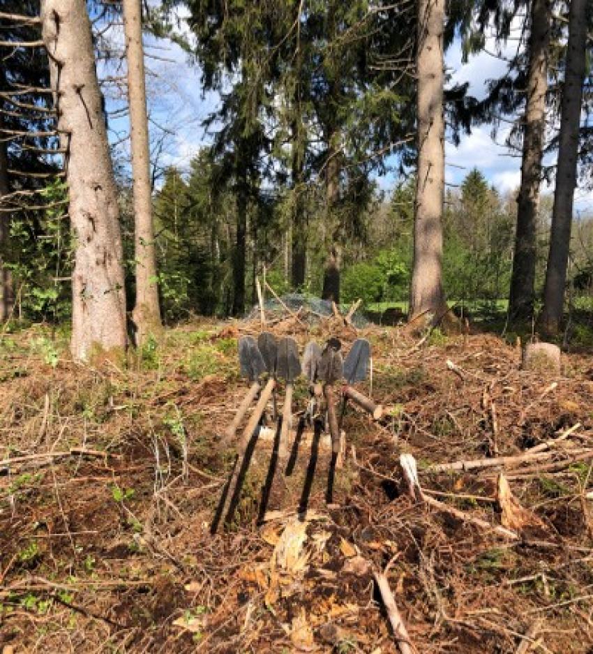 Wiedehopfhauen