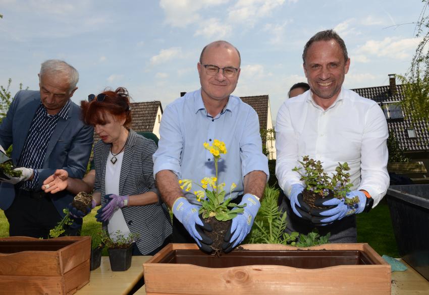 links: Vorsitzende des LBV Bayern, Dr. Norbert Schäffer und Umweltminister Thorsten Glauber pflanzen insektenfreundlichen Blumen in den Balkonkasten.