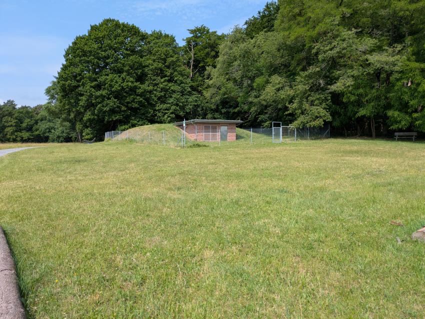 Ansicht der Teilfläche 1 im Juni 2025 direkt nach der Mahd mit dem Balkenmäher. Um einen Nährstoffeintrag in den Boden zu verhindern und für genügend Lichteinstrahlung zu sorgen, wird das Schnittgut nach wenigen Tagen abgeräumt. Abgelegte Baumstämme grenzen die Fläche ab und sorgen zusätzlich für Wohnstätten.