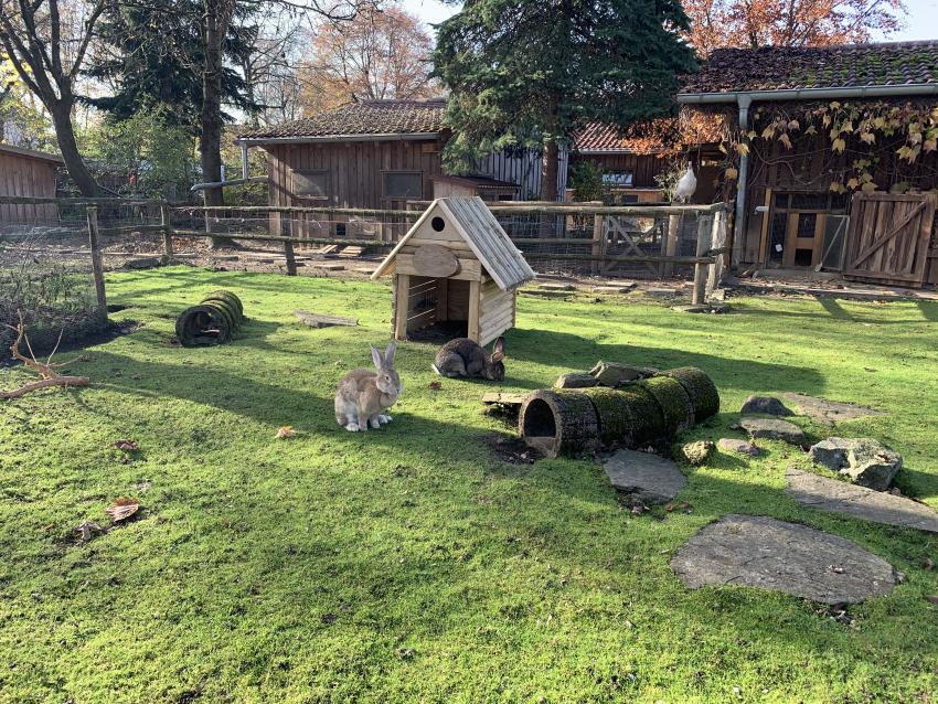 Herbst im Umweltgarten, Gemeinde Neubiberg