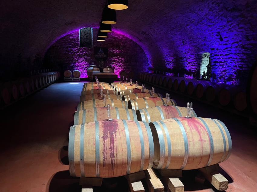 Blick in den Weinkeller der Winzerkeller Sommerach eG