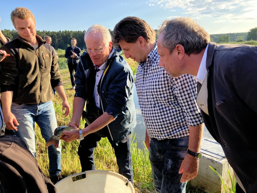 Umweltminister Thorsten Glauber betrachtet den Teichkarpfen in den Händen von Dr. Martin Oberle (stv. Landrat Erlangen Höchstadt und Vertreter der LfL, Institut für Fischerei mit der Außenstelle Karpfenteichwirtschaft).