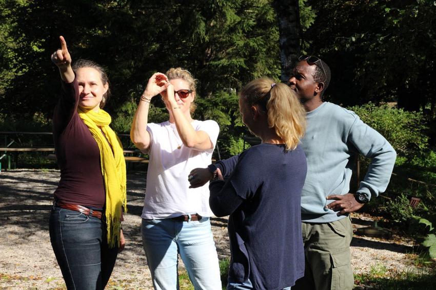 Erwachsenengruppen in der natur