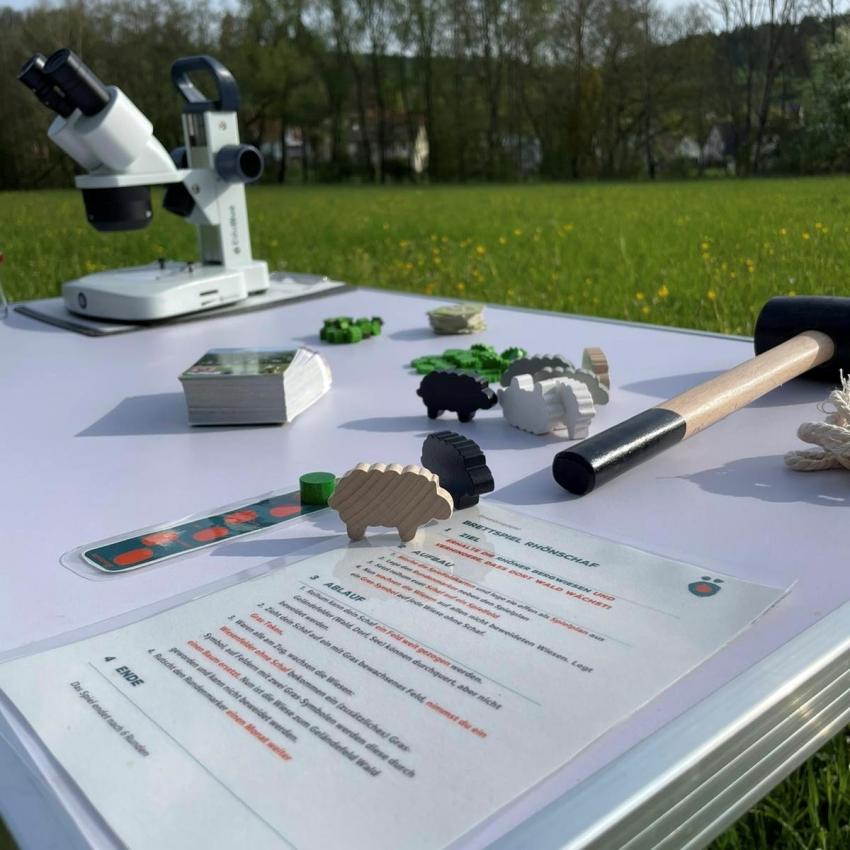 Materialtisch für die Wiesenerkundung (Urheberin: Lisa Graskamp)