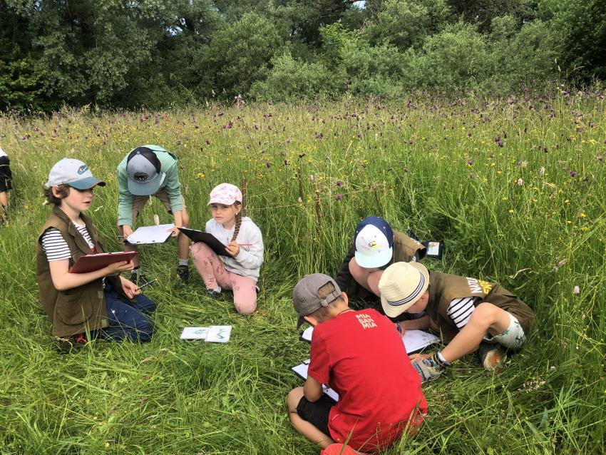 Wiesenentdecker der Naturparkschule, Autorin: Nina Helmschrott