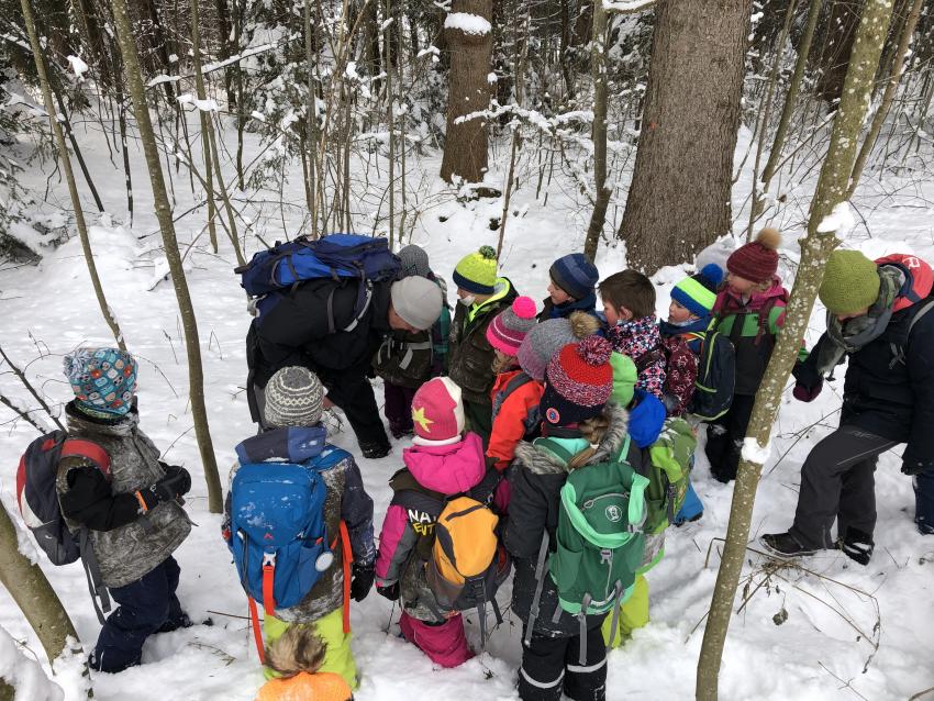 Tiere im Winter, Autorin: Nina Helmschrott