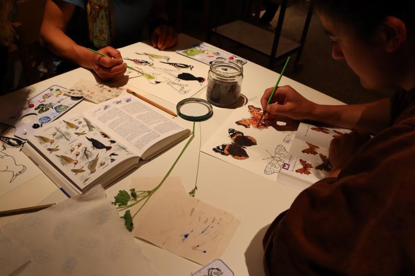 Artenkenntnis Camp (Urheber: Soyoglu, Haluk)