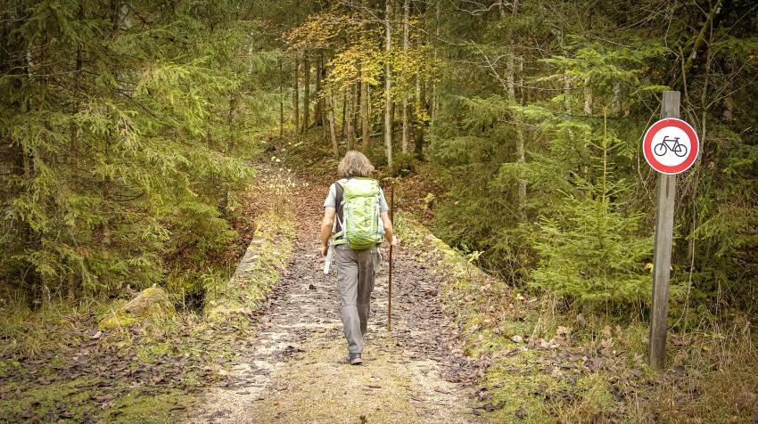 Naturtalent Klaus Melde läuft mit dem Rücken zur Kamera auf einem Weg in Richtung Wald.