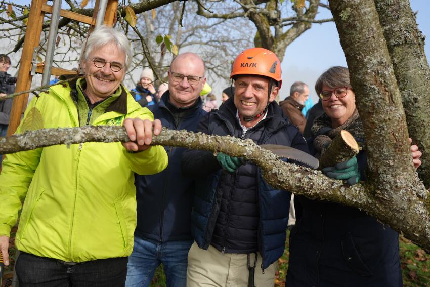 Am Baum stehen von links nach rechts: BN-Vorsitzender Richard Mergner, LBV-Vorsitzender Dr. Norbert Schäffer, Umweltminister Thorsten Glauber mit der Säge in der Hand, Landeskoordinatorin des DVL-Landesbüro Bayern Beate Krettinger.