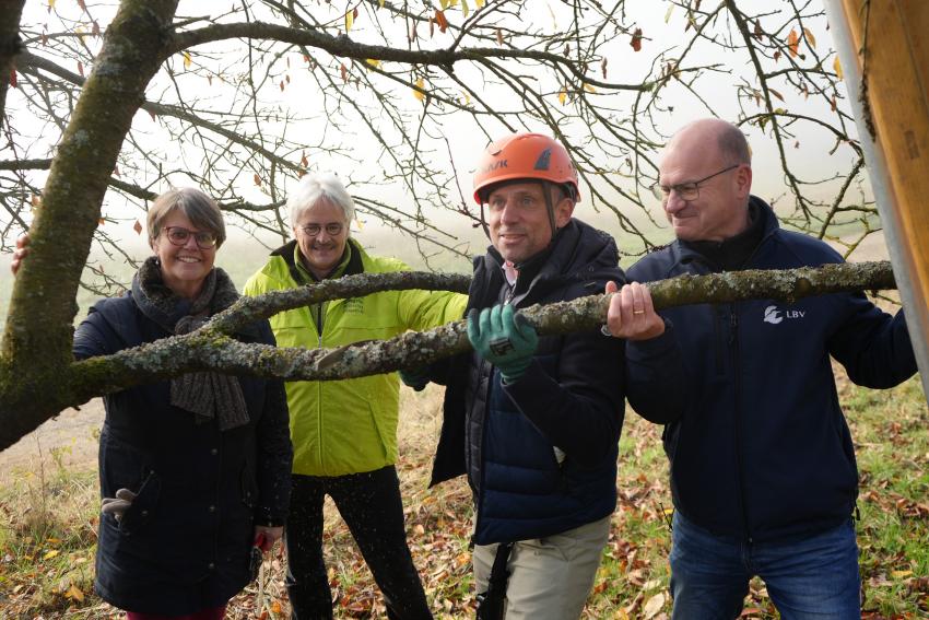 Umweltminister Thorsten Glauber sägt an einem Baumast.